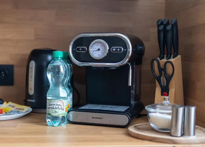 Pachonskiego Urban Chic By Bookinghost 公寓 克拉科夫